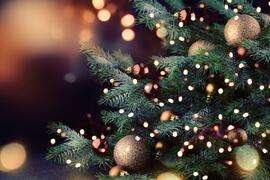Happy New Year and Merry Christmas!